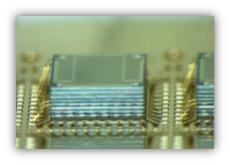 Packaged IPDs Companion chip on Board IPD die (RF+DC) Leadframe Active