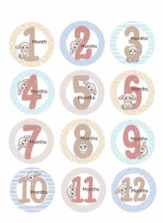 NEW Set of 12 Monthly Baby Stickers in gift box