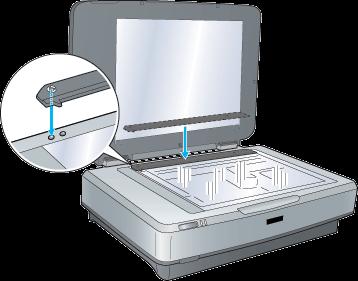 3 Place the film holder(s) onto the scanner ensuring that the holders do not cover the glass to the left of the notch