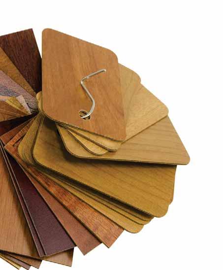 WOOD STAINS, PATINAS AND GRAIN FILLERS CLASSIQUE STAINS - SPRAY AND LEAVE A range of fast drying solvent-based stains suitable for hand, spray or dip of colour.