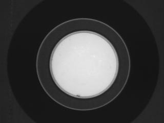 Presented at the VI 99 Conference, Trois-Rivières, Québec, Canada, 9-2 May 999 2 Figure 2: Image of the reflectance standard (white disk at the center) having an 8% reflectance as seen by the red