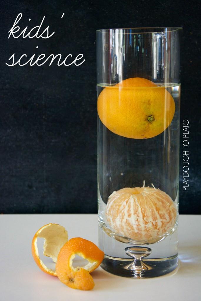 Orange Buoyancy Science Experiment Kids will love learning why things