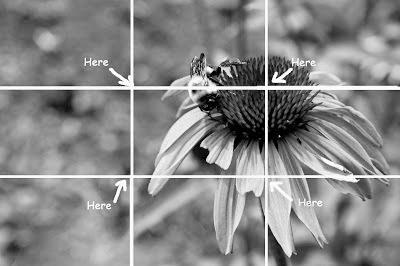 Composition 1. Rule of Thirds Image can be divided into nine equal parts by two equally-spaced horizontal lines and two equally-spaced vertical lines.