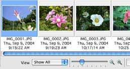 Chapter 4 Viewing Images Changing the Browser Window Display (2/2) Setting the Information Displayed with Thumbnails You can set the image information that displays beneath thumbnails when the