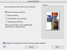 The selected images will automatically be laid out in the Print window. You can select a layout option in the Layout Options dialog. Select images. Print Window Click here.