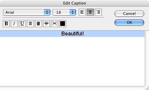 Chapter 6 Using Supplementary Features Printing Images (5/8) Typing a caption You can type captions for individual images.