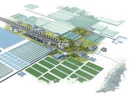 Sector Future state Build a modern fleet and conservation fish farms, and facilitate