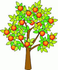 5: REVIEWING YOUR LANDSCAPER S BID DON T COMPARE APPLES TO ORANGES Always have your landscaper make a personal visit to your property for a visual inspection.