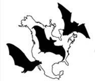 Conservation of Bats in Mexico, USA