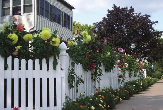 SUPREME Picket Fence Supreme Specifications Heights: 48", 60", 72" 7/8" x 3" Wide Pickets 1-3/4" Spacing