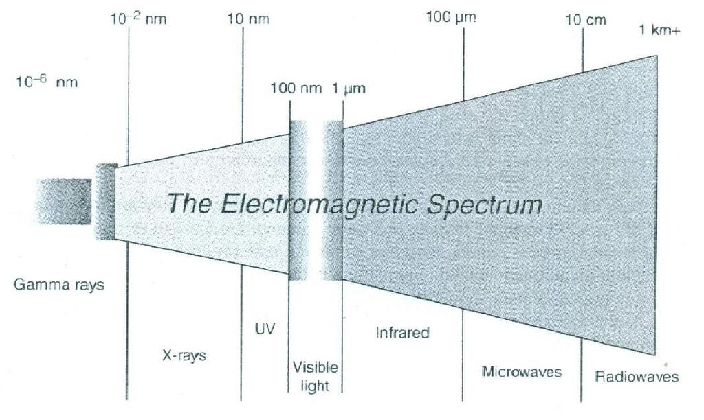 Wireless and Infrared IR waves are longer than visible light waves and shorter than radio waves.