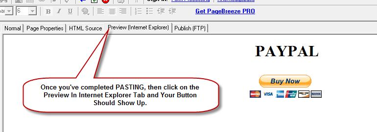 STEP 7: Once you've pasted the code click on the Preview (Internet Explorer) tab.