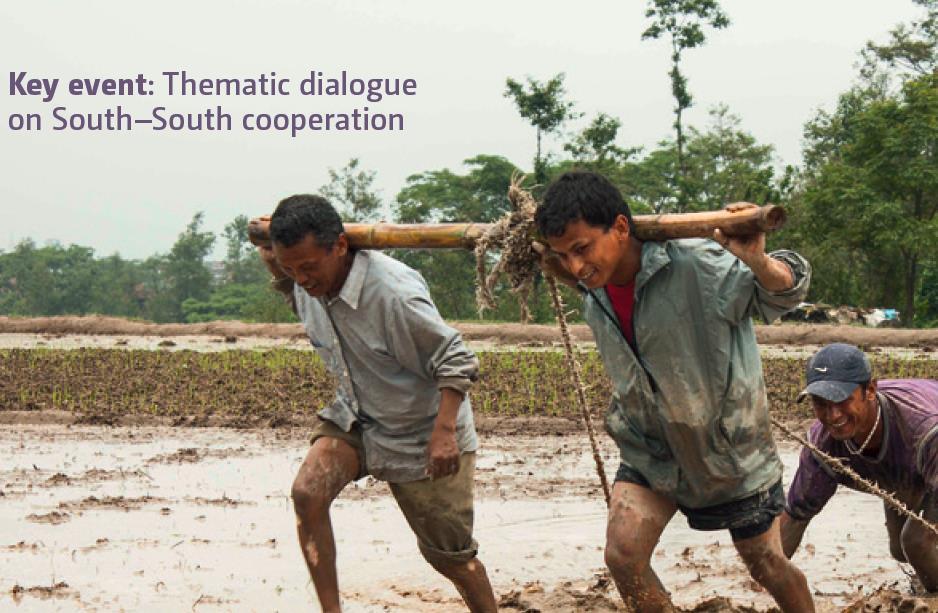 TEC key achievements in 2016 The TEC Brought together more than 40 experts to explore how to enhance south-south cooperation for adaptation techs Highlighted potential for South South cooperation to