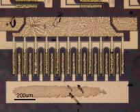 (a) (b) (c) Figure 27: Multi-fingered devices (Type 4) characteristics (wafer ID: 1-1439-6). Device dimensions: W g = 3 mm, L gd = 15 µm, L g = 3 µm, L gs = 4 µm.