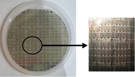 (a) shows the device picture with Wg = 40 mm, (b) shows a picture of the full 2-inch wafer, (c) shows I-V