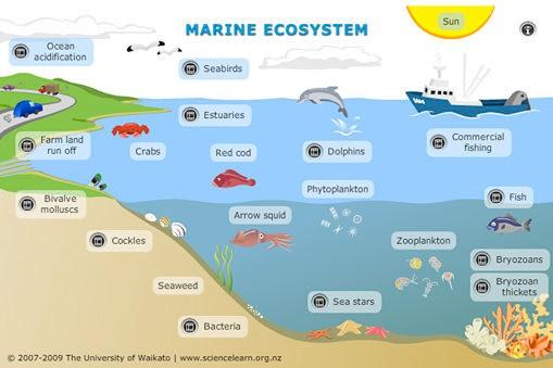 Wouldn't it be better to have an ecosystem where we can all set our fishes free?