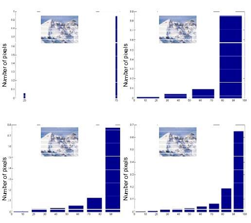These images are further processed in matlab and their histograms are studied as shown in figure 6 This border information is used to develop new adapted color