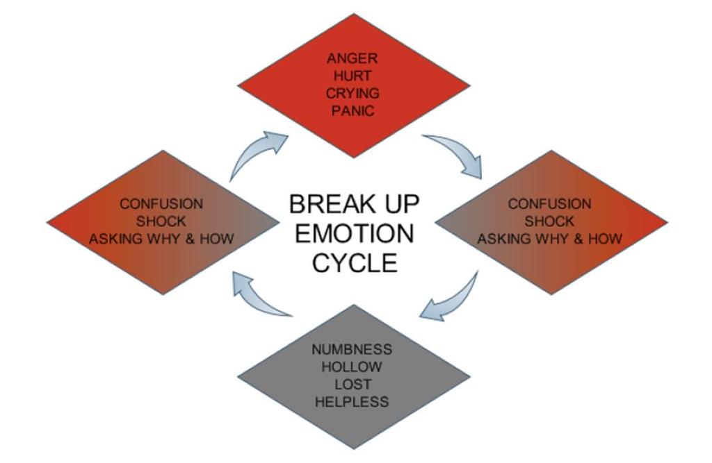 Listed below are a range of common emotions you will experience during your break up: The Break Up Emotional Cycle You'll alternate from feeling angry, hurt to shocked, confused to finally feeling