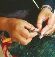 The Maori New Zealand s Maori weavers use fibers from the flax plant for
