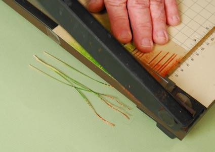Use a paper trimmer to snip the scored cardstock panel into reeds. This takes a little practice.