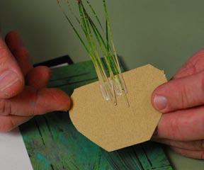 Gather a bundle of the reeds and place the end on the double-sided tape.
