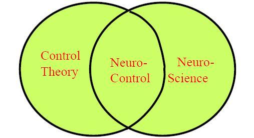 Neuro Control The use of well-specified NN (artificial or natural) to emit actual control signal Subset of control theory and of neuro-science Not alternative to the wider diciplines of control