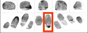 3. If the fingerprint impression is a loop, are the delta and core present? If the fingerprint impression is a whorl, are all deltas present? 4. Are the fingerprint impressions clear and distinct? 5.