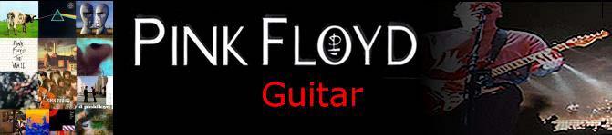 Gives you: Transcribed Pink Floyd Tabs & Helpful Playing Tips