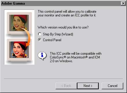 636 LESSON 19 Setting Up Your Monitor for Color Management 2 In the Adobe Gamma wizard, click the Control Panel option, and click Next.