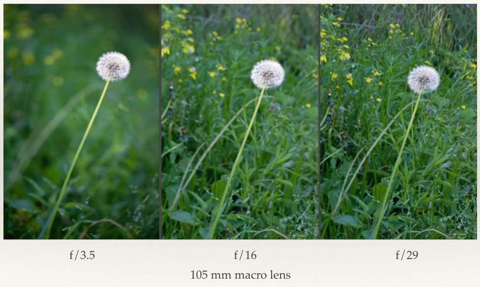 size of the aperture is reduced the depth of field increases. That s fine and this knowledge can be used effectively to control depth of field - but it is not the full story.