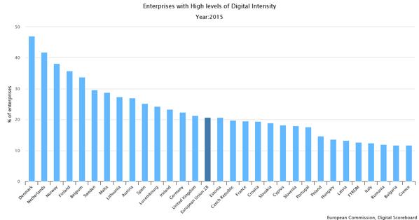 Level of digitisation differs according to size of company,