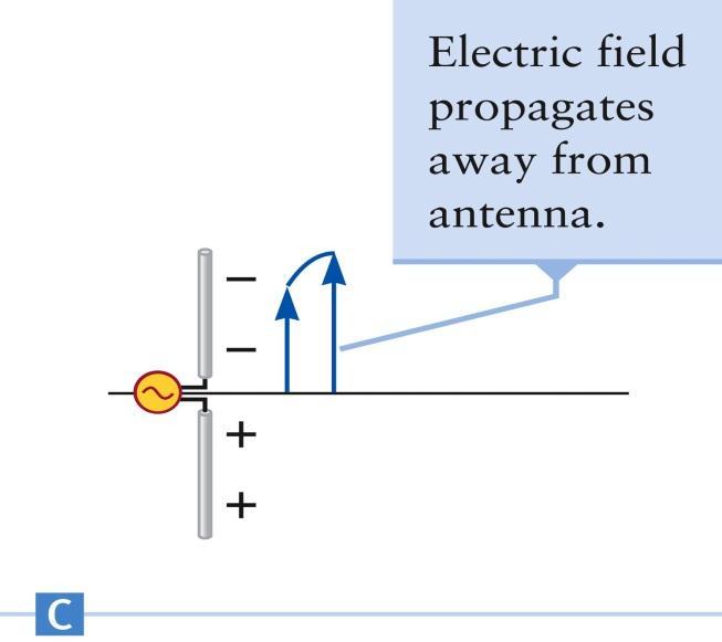 Generation of EM Waves As the voltage of the AC source oscillates, the electric potential of the two wires