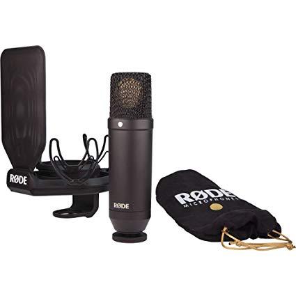 TWO CONDENSER MICROPHONEs With such a vast choice of microphones, it can be overwhelming to know what to buy. For starters, should you buy a dynamic or a condenser mic?