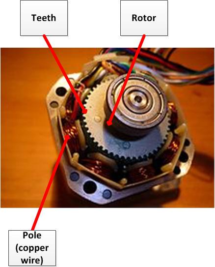 STEPPER MOTOR INTERNAL COMPONENTS This stepper motor has a rotor of 50 teeth and the stator has 8 poles with 5 teeth each (total of 40 teeth), the stepper motor is able to move 200 distinct steps to
