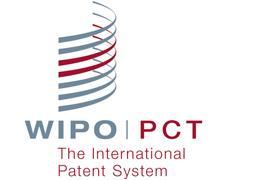 PCT Argentina is not member of the PCT (Patent Cooperation Treaty).