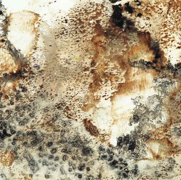 Textured Ink Topography Splatter black and brown ink on a piece of paper.