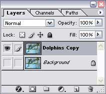 Give the new layer a meaningful name; in this case Dolphins Copy. You can hide the original background layer by clicking its 'eye' icon.