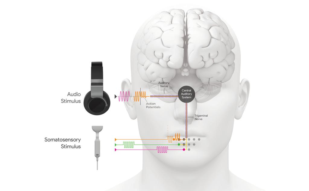 Neuromod Devices a spin-out company from Maynooth University developing a new treatment for sufferers of tinnitus filed 2010 formed 2010 First 2011 Latest, Series A, 2015 Neuromod Devices is a