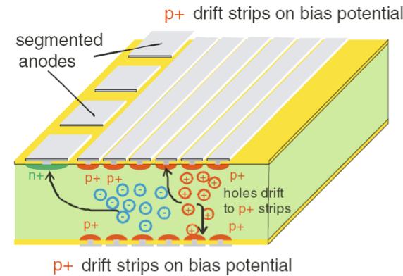 Silicon Drift Detectors Bulk fully depleted by p + strips and backplane p + implantation Ionizing particle produces e/h-pairs Holes swept out Electrons move towards collecting anodes (n + ).