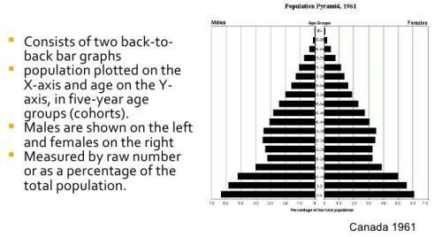 of contents, glossary or references? Third, did anyone (everyone?) have trouble with the population pyramids on page 11. We discuss next.
