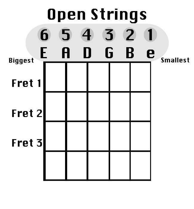 THE STRINGS ON THE GUITAR It's a very important to know the note names of the open strings on your guitar.
