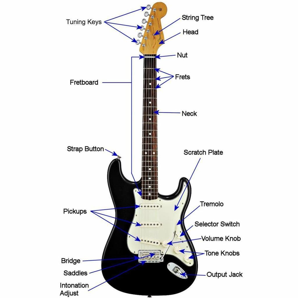 THE GUITAR- COMPONENTS OF THE GUITAR There are three main types of guitars, the steel-string acoustic, the nylon string or classical guitar, and