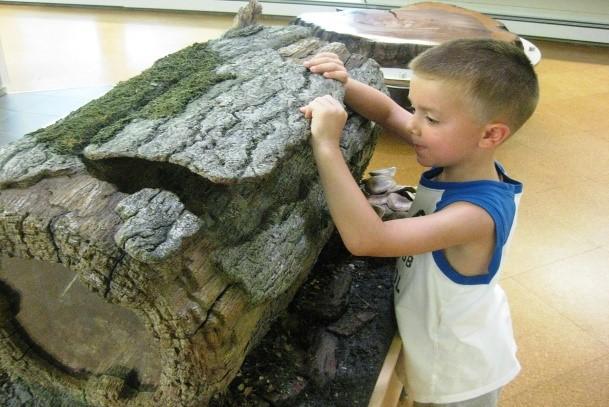 Activity Stations (all): $ 7,500 Our interactive exhibit explores the habitats within our preserve and the importance of