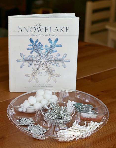 We checked out the book, The Snowflake by Kenneth Libbrecht, from our local library. We were just taken aback by all the gorgeous designs that can be found in snowflakes. (www.buggyandbuddy.