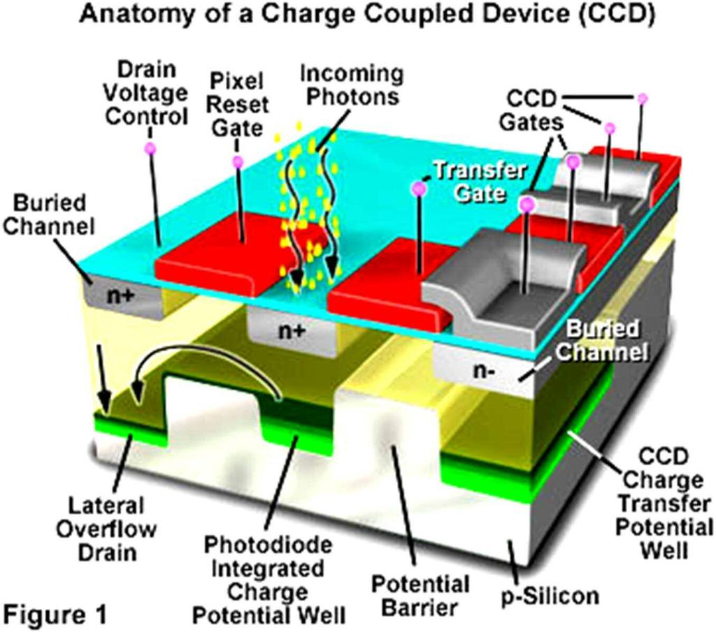 Charge-Coupled Device (CCD) The heart of solid state imaging much more:
