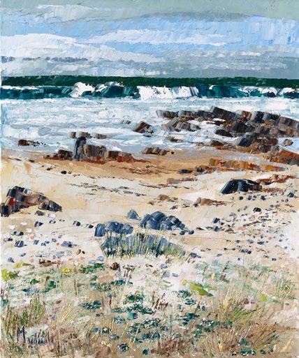 41. Daisies in the Sand, the Gauldrons Kintyre,