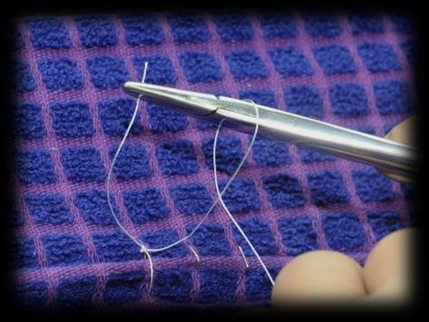 Clinical Skills: 25 26 27 This time move and pull the short end of the suture material (held by the