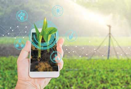 AGRICULTURE Agritech to improve crop yields and increase farmer incomes HEALTH Smart Health enabling quality and efficiency of care for all National ehaat market Agriculture tools sharing