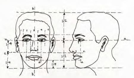 PROPORTIONS OF THE HEAD / FACE (These proportions have been measured as size relationships, not in inches.) Steps in creating an average person s head 1. HEAD SHAPE.