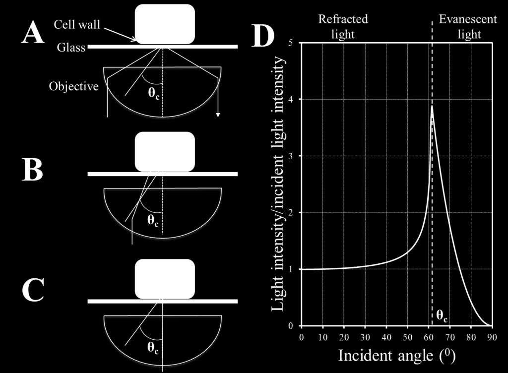 In VAE geometry, the incident angle of the laser beam is slightly smaller than yet very close to the critical angle.